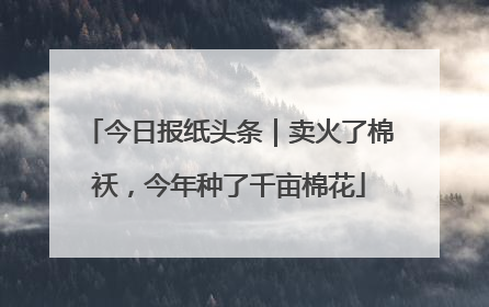 今日报纸头条｜卖火了棉袄，今年种了千亩棉花