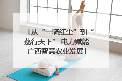 从“一骑红尘”到“荔行天下” 电力赋能广西智慧农业发展