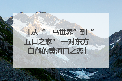 从“二鸟世界”到“五口之家” 一对东方白鹳的黄河口之恋