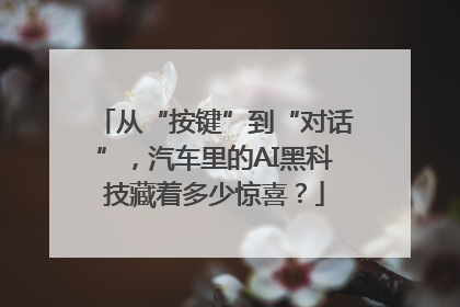 从“按键”到“对话”，汽车里的AI黑科技藏着多少惊喜？