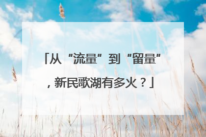 从“流量”到“留量”，新民歌湖有多火？