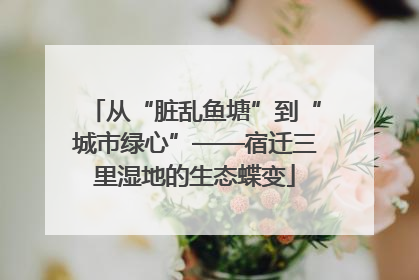 从“脏乱鱼塘”到“城市绿心”——宿迁三里湿地的生态蝶变