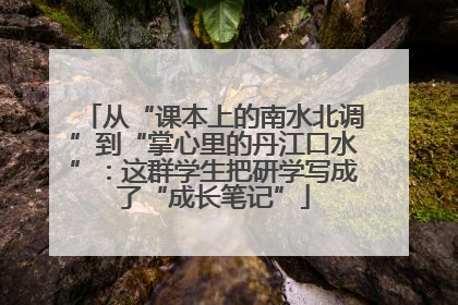 从“课本上的南水北调”到“掌心里的丹江口水”：这群学生把研学写成了“成长笔记”