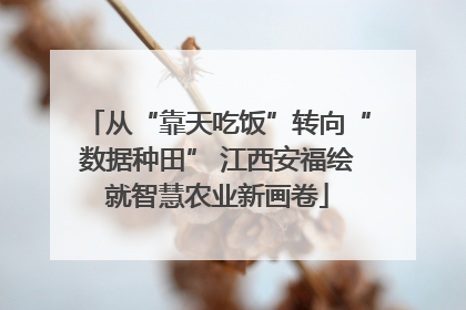 从“靠天吃饭”转向“数据种田” 江西安福绘就智慧农业新画卷