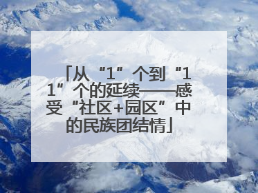 从“1”个到“11”个的延续——感受“社区+园区”中的民族团结情