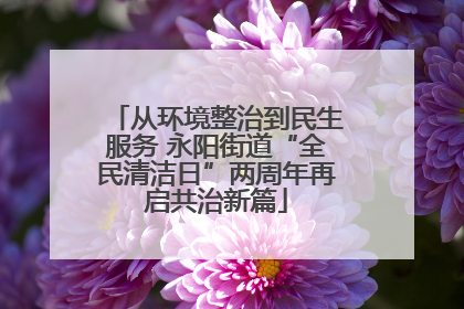 从环境整治到民生服务 永阳街道“全民清洁日”两周年再启共治新篇