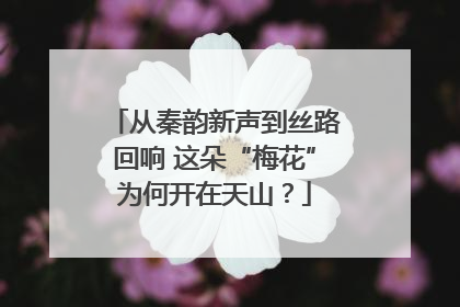 从秦韵新声到丝路回响 这朵“梅花”为何开在天山？