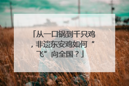 从一口锅到千只鸡，非遗东安鸡如何“飞”向全国？