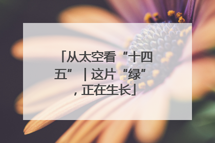 从太空看“十四五”｜这片“绿”，正在生长