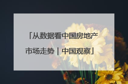 从数据看中国房地产市场走势｜中国观察