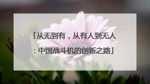 从无到有，从有人到无人：中国战斗机的创新之路