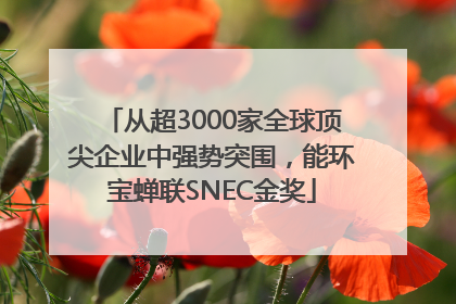 从超3000家全球顶尖企业中强势突围，能环宝蝉联SNEC金奖