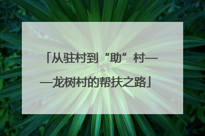 从驻村到“助”村——龙树村的帮扶之路
