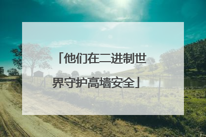 他们在二进制世界守护高墙安全