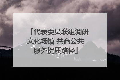 代表委员联组调研文化场馆 共商公共服务提质路径
