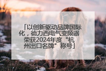以创新驱动品牌国际化，德力西电气变频器荣获2024年度“杭州出口名牌”称号
