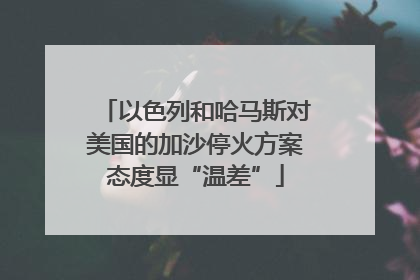 以色列和哈马斯对美国的加沙停火方案态度显“温差”
