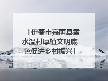 伊春市嘉荫县雪水温村厚植文明底色促进乡村振兴