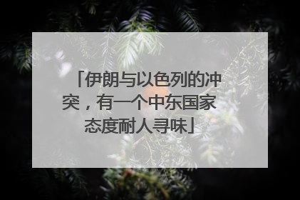 伊朗与以色列的冲突，有一个中东国家态度耐人寻味