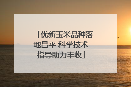 优新玉米品种落地昌平 科学技术指导助力丰收