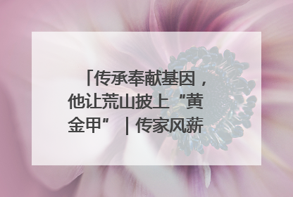 传承奉献基因，他让荒山披上“黄金甲”｜传家风薪火 颂家国情深