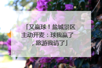 又赢球！盐城景区主动开麦：球我赢了，旅游我请了