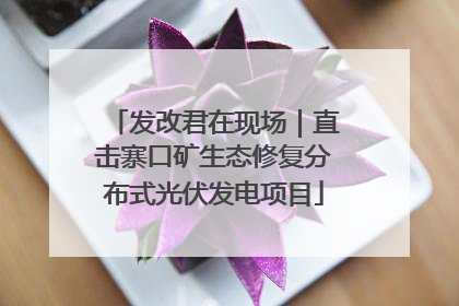 发改君在现场｜直击寨口矿生态修复分布式光伏发电项目