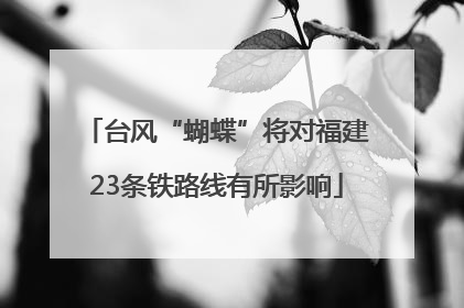 台风“蝴蝶”将对福建23条铁路线有所影响