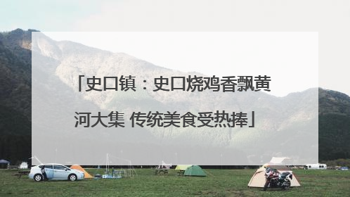 史口镇：史口烧鸡香飘黄河大集 传统美食受热捧