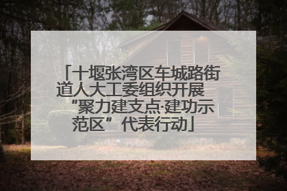 十堰张湾区车城路街道人大工委组织开展 “聚力建支点·建功示范区”代表行动