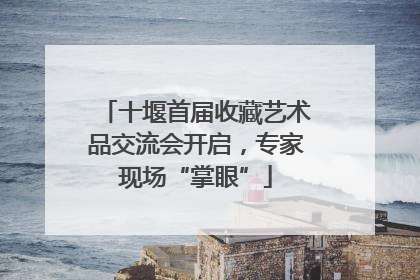 十堰首届收藏艺术品交流会开启，专家现场“掌眼”