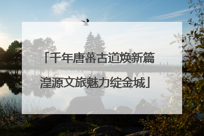 千年唐蕃古道焕新篇 湟源文旅魅力绽金城