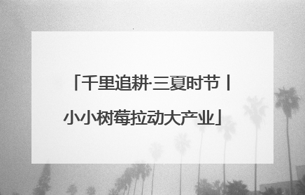 千里追耕·三夏时节丨小小树莓拉动大产业