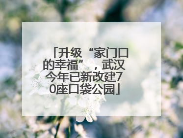 升级“家门口的幸福”，武汉今年已新改建70座口袋公园