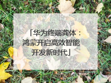 华为终端龚体：鸿蒙开启高效智能开发新时代