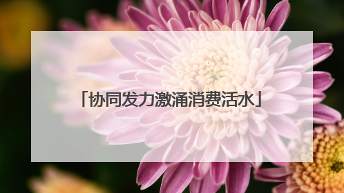 协同发力激涌消费活水