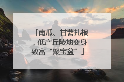 南瓜、甘薯扎根，低产丘陵地变身致富“聚宝盆”