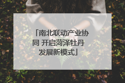 南北联动产业协同 开启菏泽牡丹发展新模式