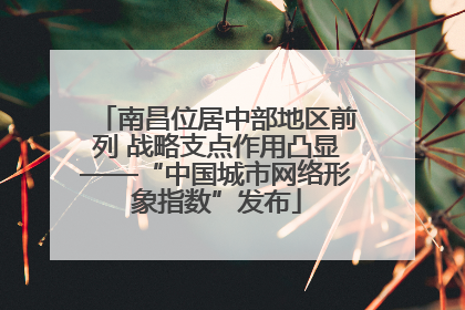 南昌位居中部地区前列 战略支点作用凸显——“中国城市网络形象指数”发布