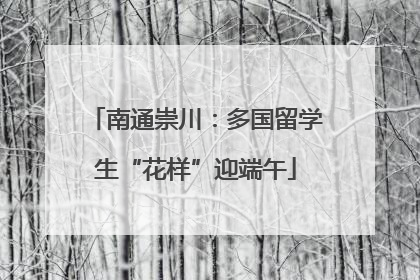 南通崇川：多国留学生“花样”迎端午