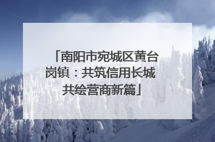 南阳市宛城区黄台岗镇：共筑信用长城 共绘营商新篇