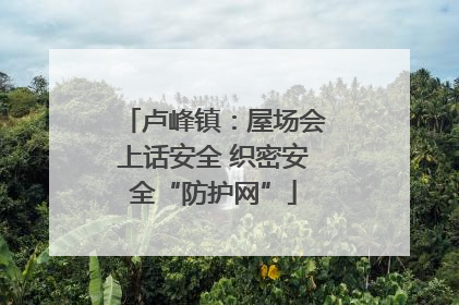 卢峰镇：屋场会上话安全 织密安全“防护网”
