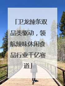 卫龙辣条双品类驱动，领航辣味休闲食品行业千亿赛道