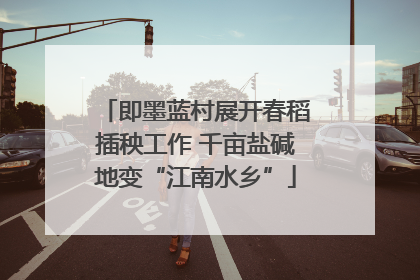 即墨蓝村展开春稻插秧工作 千亩盐碱地变“江南水乡”