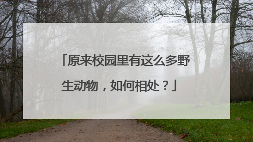 原来校园里有这么多野生动物，如何相处？