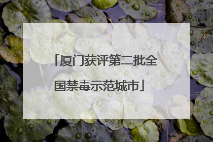 厦门获评第二批全国禁毒示范城市