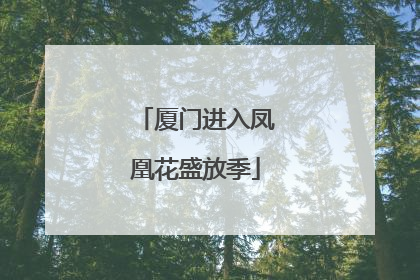 厦门进入凤凰花盛放季