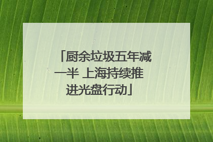 厨余垃圾五年减一半 上海持续推进光盘行动