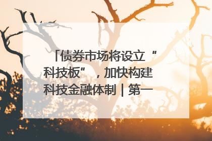 债券市场将设立“科技板”，加快构建科技金融体制｜第一财经研究院中国金融条件指数周报