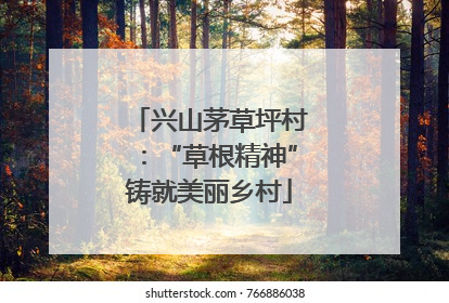 兴山茅草坪村：“草根精神”铸就美丽乡村